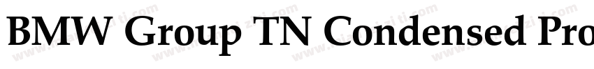 BMW Group TN Condensed Pro TT Bold字体转换